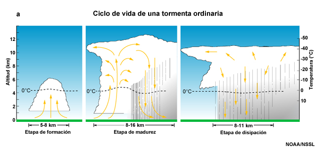 Modelo conceptual del ciclo de vida de las nubes y la precipitación en una tormenta ordinaria.