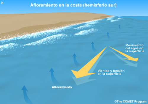Imagen conceptual del afloramiento costero.