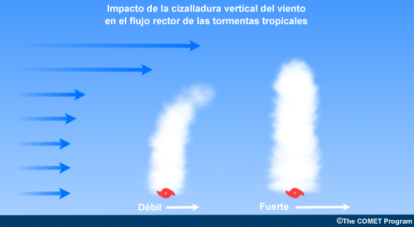 Representación esquemática del impacto de la cizalladura vertical del viento en la corriente rectora.