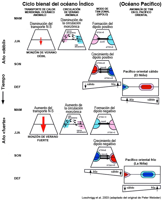 Representación esquemática de la retroalimentación entre los océanos Índico y Pacífico durante la evolución de un monzón asiático débil (seco) a intenso (húmedo).