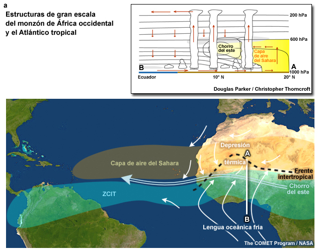Principales estructuras de gran escala del monzón de África occidental y el Atlántico tropical; el diagrama en (a) presenta un corte vertical de norte a sur a lo largo del meridiano de Greenwich que muestra de forma esquemática el monzón húmedo, el harmattan seco, el sistema depresión térmica/chorro africano del este/ZCIT, la convección y la capa de aire del Sahara.