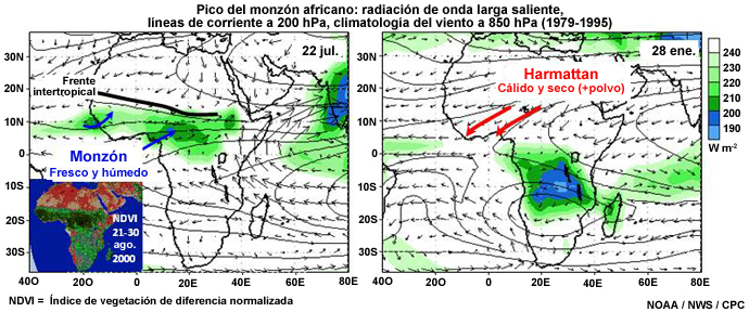 Radiación de onda larga saliente (colores), líneas de corriente a 200 hPa y vector viento a 850 hPa. La línea negra gruesa marca la posición del frente intertropical. El mapa pequeño muestra el índice de vegetación de diferencia normalizada (IVDN) para el período del 21 al 31 de agosto de 2000.