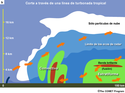 Modelo conceptual de corte y reflectividad de radar a través de una línea de turbonada tropical.