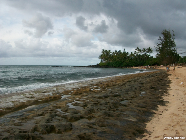 abshire_100_0907