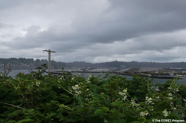 photo of harbor area of Newport, Oregon