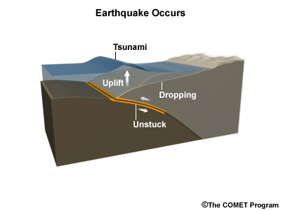 How thrust-fault tsunamis occur.