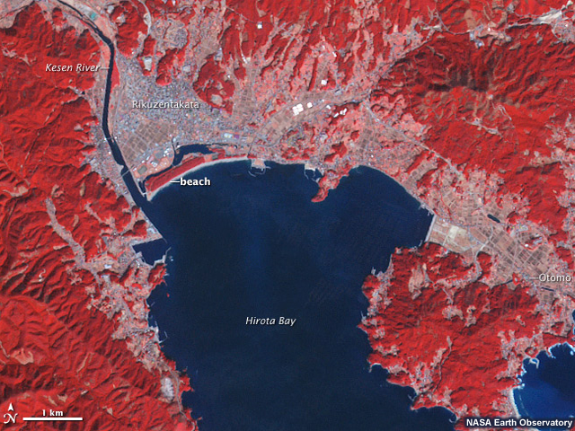 A satellite image of Rikuzentakata, Japan, before and after the March 2011 tsunami.