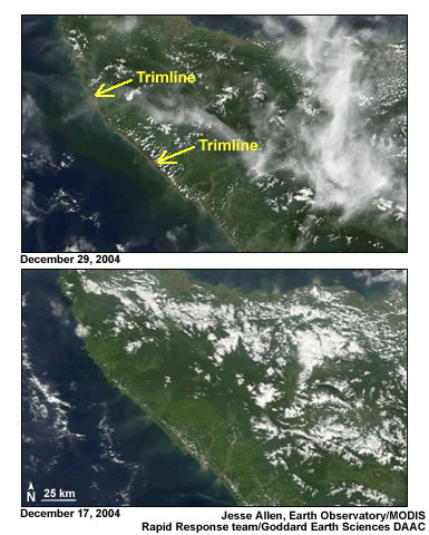 A trimline -- or deforested area -- around the coast of Sumatra created by the 2004 Indian Ocean Tsunami.