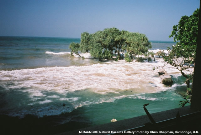 photo of incoming tsunami wave from a Sri Lanka hotel on December 24, 2004