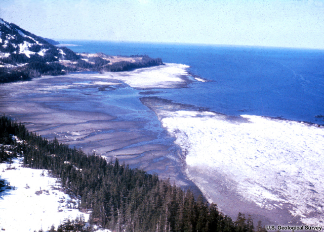 Hanning Bay fault at Prince William Sound following the 1964 earthquake. The fault trace lies between the uplifted surface on the right , coated white with the calcium deposits of the marine organisms that were exposed after the uplift , and the area of brown sand and silt in the cove.