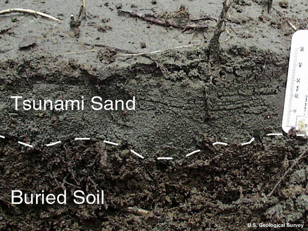 Tsunami deposits of sand over soil in Papua New Guinea after the 1998 tsunami.