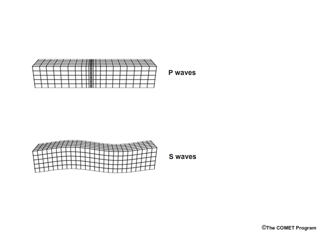 P and S seismic waves.