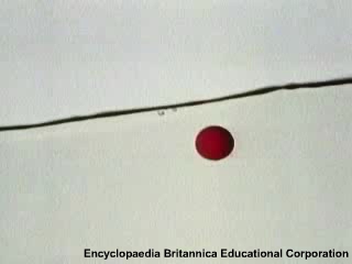 Video of a side view of a wave tank with a red ball flooting in the water.  The orbital motion of the ball is highlighted in part of the video to show its movement.