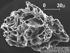 Ampliacin de una partcula de ceniza producida por la erupcin de M. Santa Helena obtenida con microscopio electrnico de barrido. Los diminutos orificios llamados vesculas son el resultado de la expansin de las burbujas de gas durante la erupcin magmtica (descripcin del USGS).