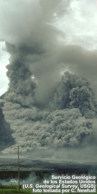 flujo piroclástico sweeps down the side of Mayon Volcano, Philippines. Note the ground-hugging cloud of ash (lower left) that is billowing from the flujo piroclástico and the eruption column rising from the top of the volcano.