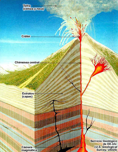 Corte de un típico volcán durante una erupción. Comenzando por la cámara magmática, el magma asciende por uno o más conductos a través de los estratos o capas de roca hasta llegar a la superficie. Si bien la mayor parte del magma alcanza la cima del volcán y sale por la chimenea central, parte puede seguir otros conductos y salir por un flanco del volcán. Es posible que otra parte del magma no llegue nunca a la superficie, sino que penetre los estratos lateralmente.
